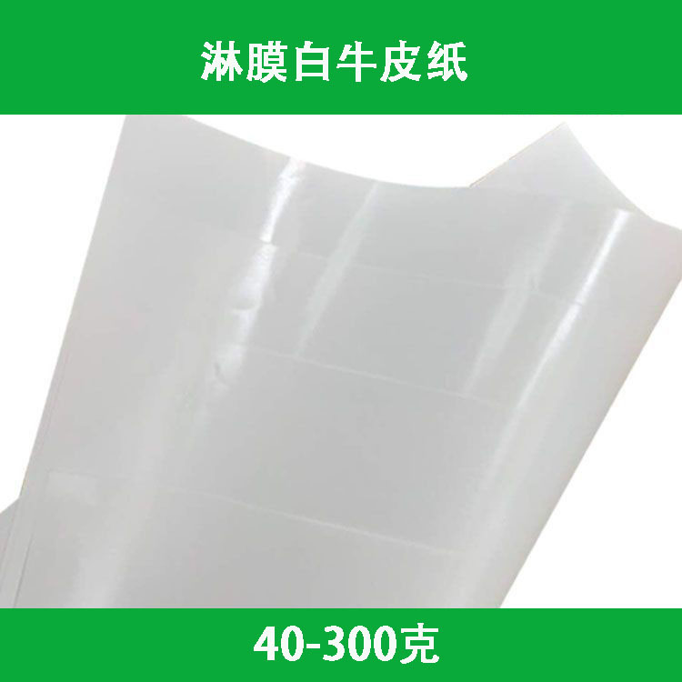 厂家销售食品级淋膜纸PE淋膜纸工业淋膜包装纸食品包装袋纸