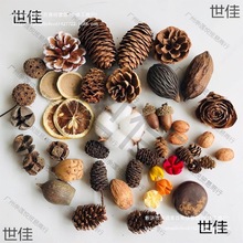 ɹֹdiyľξƵꄓ֧֦lƹܛb˱