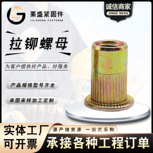 ���T��ĸ  僲��\��ĸ ƽ�^�Q�yĸ �������T䓽Y����˨