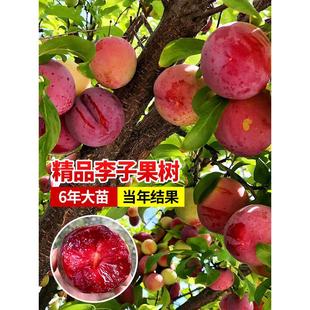 �������Ә���޽��ش�����Ó��������ӹ������ϱ����N���A�����