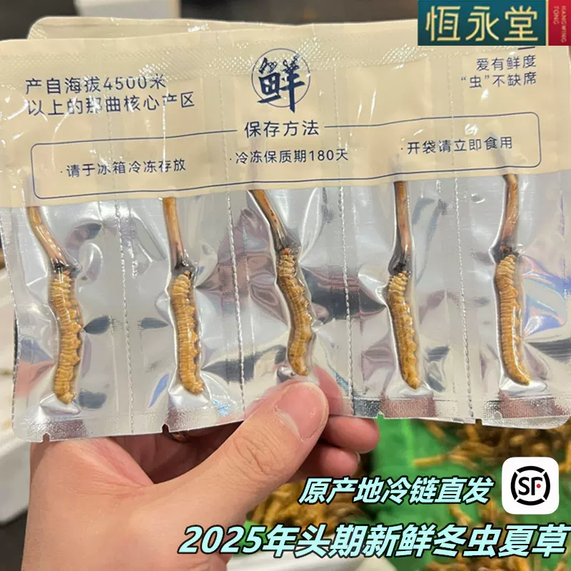 头期冬虫夏草新鲜虫草西藏青海滋补品送礼长辈新鲜源头代发鲜虫草