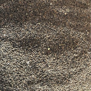 ���l�׻����� ���NҎ�� ���NͶ��