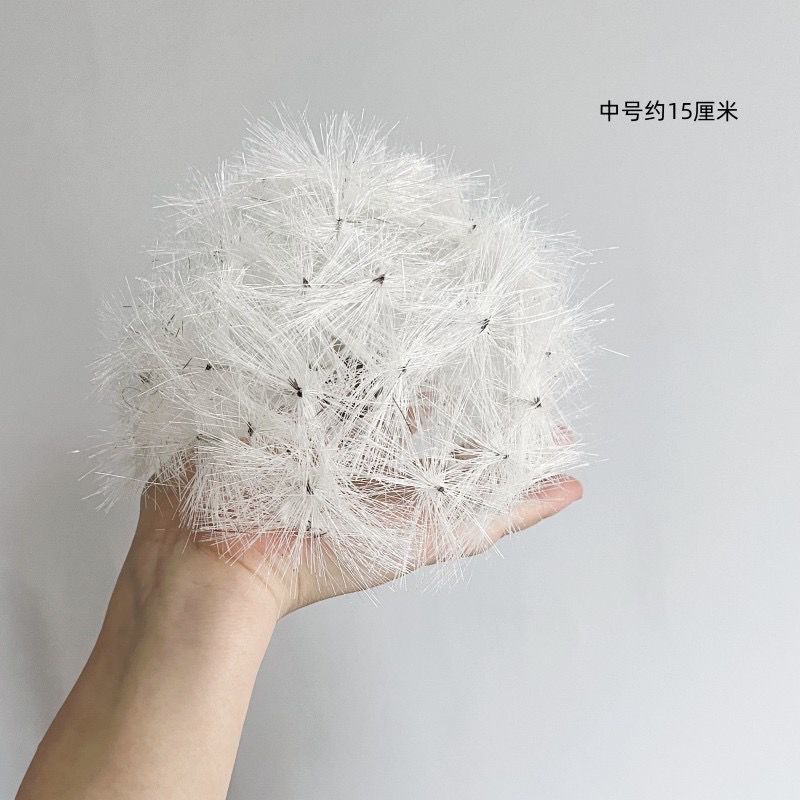 蒲公英花头中号