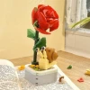 Rose snail pot plant (color box installation)