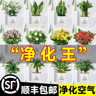 �Gֲ�����҃��׃��@����Сֲ��͏d�k�������滨�ܰlؔ��ˮ��G�}