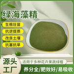 海藻精水溶生物肥料生根壮苗膨果上色增甜全作物通用酶解海藻精