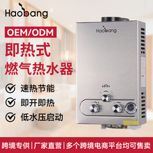 外贸出口专供 6L燃气热水器 天然气液化气 烟道式即热式热水器