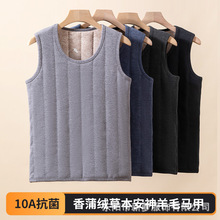 10A抗菌5层加绒加厚香蒲绒保暖背心男秋冬款套头保暖打底羊毛马甲