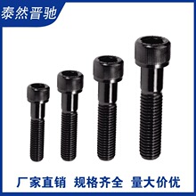 DIN912�����Ǳ�ͷ��˨ ����罨���ô���˿ �������ݶ�M24-M27