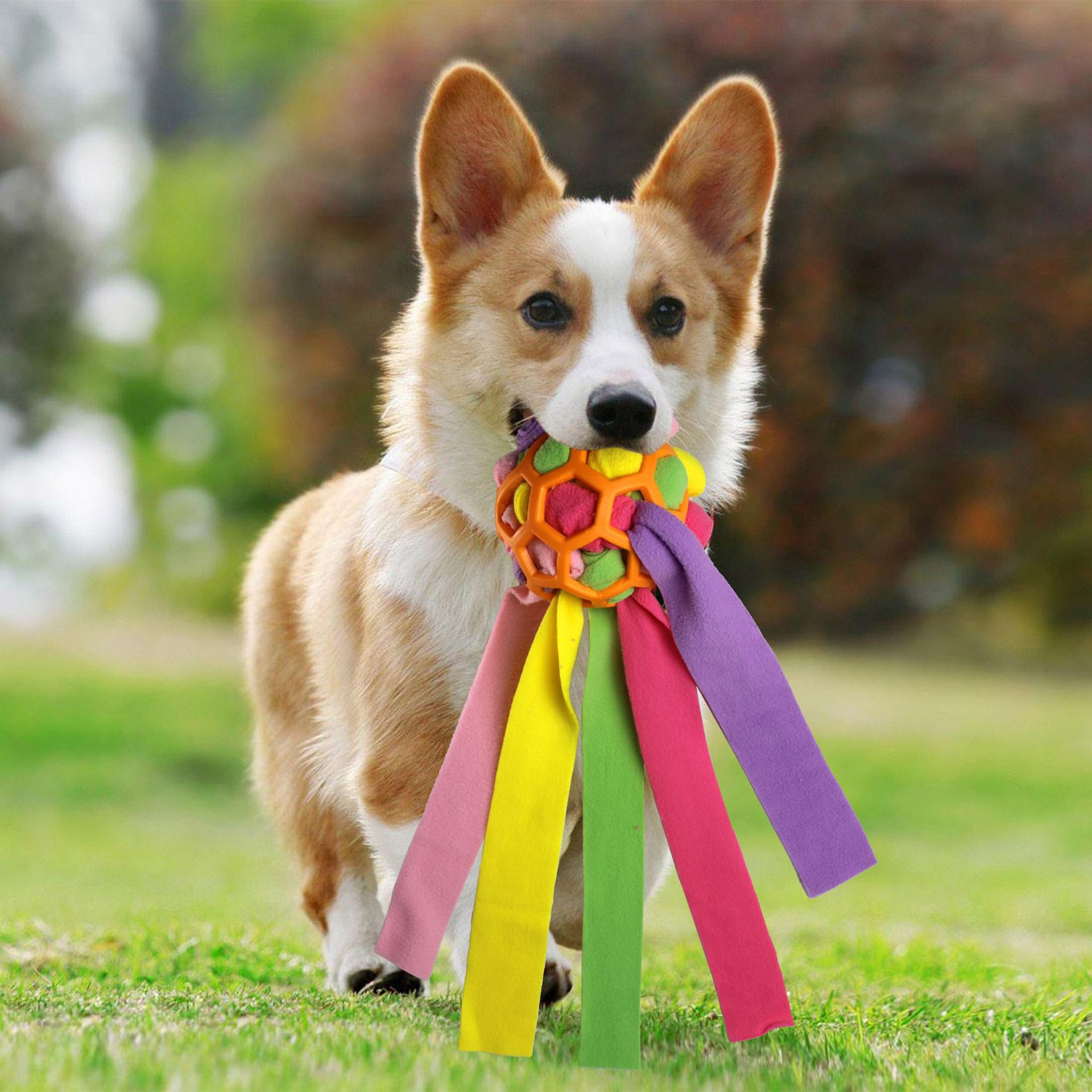 Haustierspielzeug, Schnüffelbälle für Haustiere, Blindbox für das interaktive Training mit Futterleckage für Hunde_voghion.com