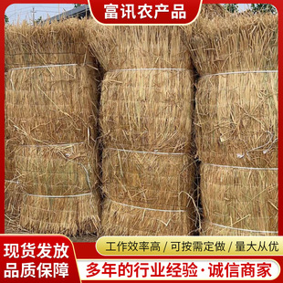 ���l��ů���ݲ�ɻ�� �Bֳ���ﱣů�ݺ� ����·�o�²ݺ��F؛