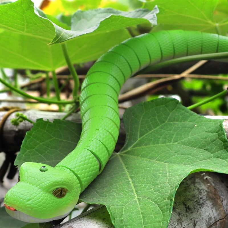 Cross-border animal funny cat funny dog electric induction snake rattlesnake toy trick scary crawling toy wholesale Cross-border animal funny cat funny dog electric induction snake rattlesnake toy trick scary crawling toy wholesale