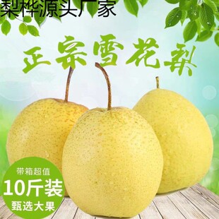 ����ѩ��ѩ���殔�����rˮ�����ӷǻʹ�����������510����]