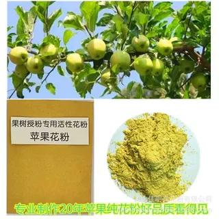 苹果花粉  苹果树授粉通用  花粉生产厂家批发