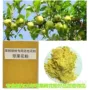 生产苹果苹果树花粉