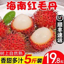 【順豐包郵】新鮮紅毛丹山荔枝水果當季熱帶毛荔枝甜紅牡丹批發