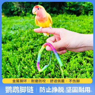 �W�^��ɫ���K���W�^�����K���w�K���BС�B�����K���ð˸��p��