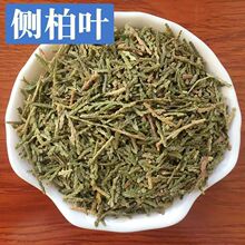 产地批发侧柏叶中药材新货无硫青色柏叶树侧柏叶洗头洗发原料