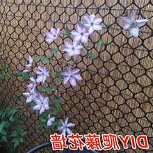�¼������ܾW��ֲ�����ټ����پW�Nֲ�W�����ܾW������ϾW�����W