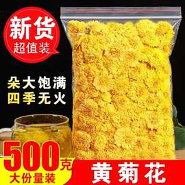 正宗黄山贡菊500g正品婺源皇菊花茶黄菊花干另售特级野生金丝皇菊