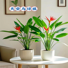 B҃ȿ͏d߼д;GֲkҴ~ֲ߶Qm·