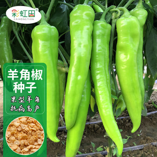 ��ǽ��N�ӿ����߮a���A�ļ����������Բ˽��N�N���r���߲�֧�ִ�