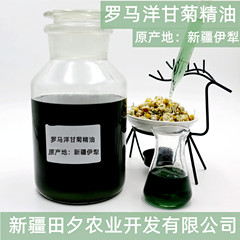 新疆伊犂原産地ローマ洋甘菊精油卸売り花蒸留宝青洋甘菊精油新商品