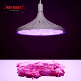 生鲜灯;电子产品消毒;贴片式LED