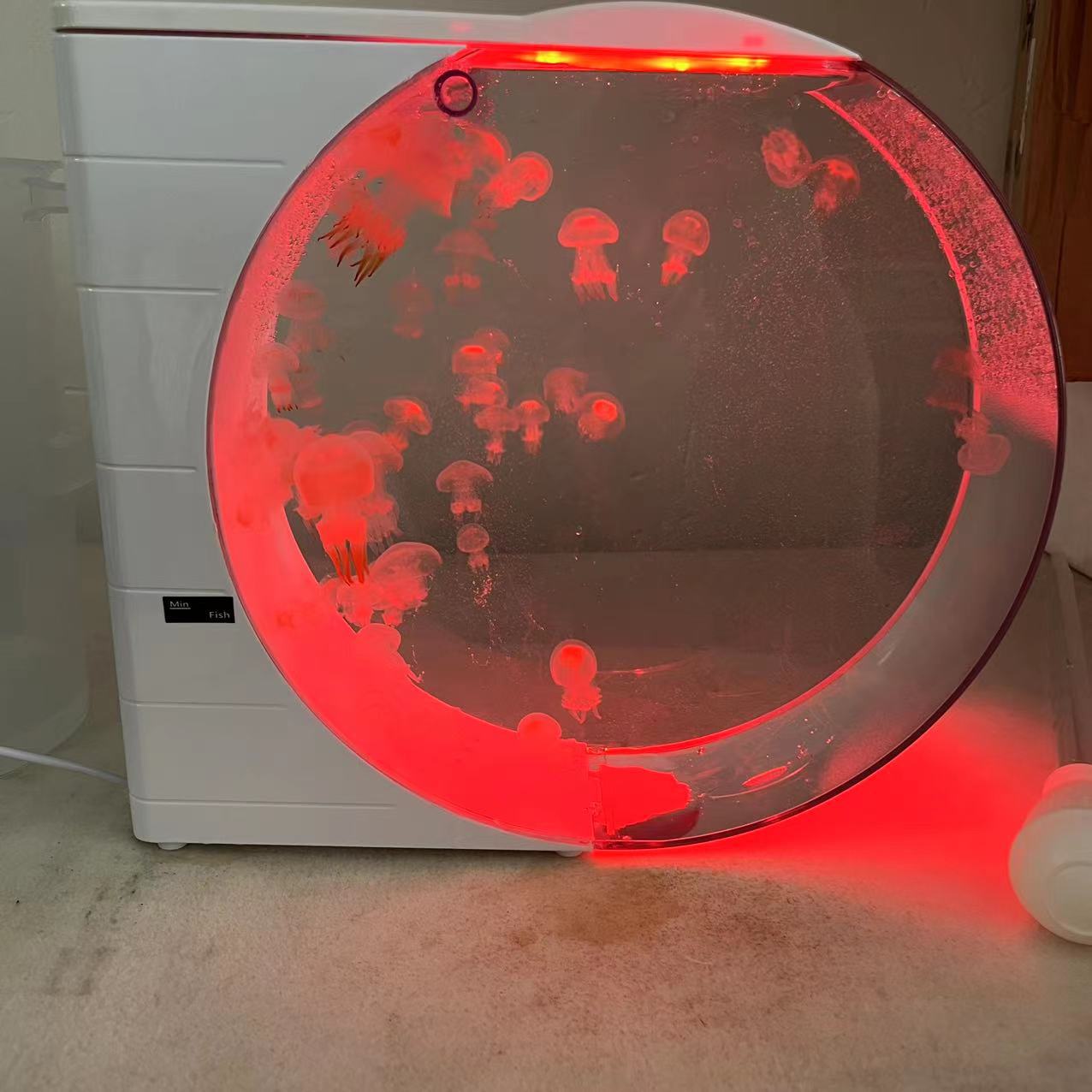 二代水母缸水母专业循环缸灯光展示缸水族养殖缸水族生态鱼缸生日