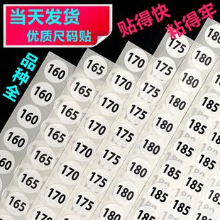 �F؛2cm�ߴa�N�� ��̖���b�·���ͯ�a�������z�˺��N�ߴa�N�����N
