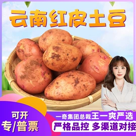 桃子;块茎类;苹果