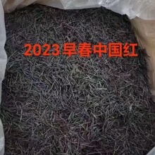 2024年云南凤庆滇红茶中国红散装批发500g古树浓香花果香功夫红茶