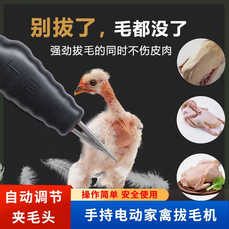 家用 商用 家禽拔鸡毛鸭毛电动拔毛 鸡鸭拔毛鸡毛鸭毛鹅毛拔毛器|undefined