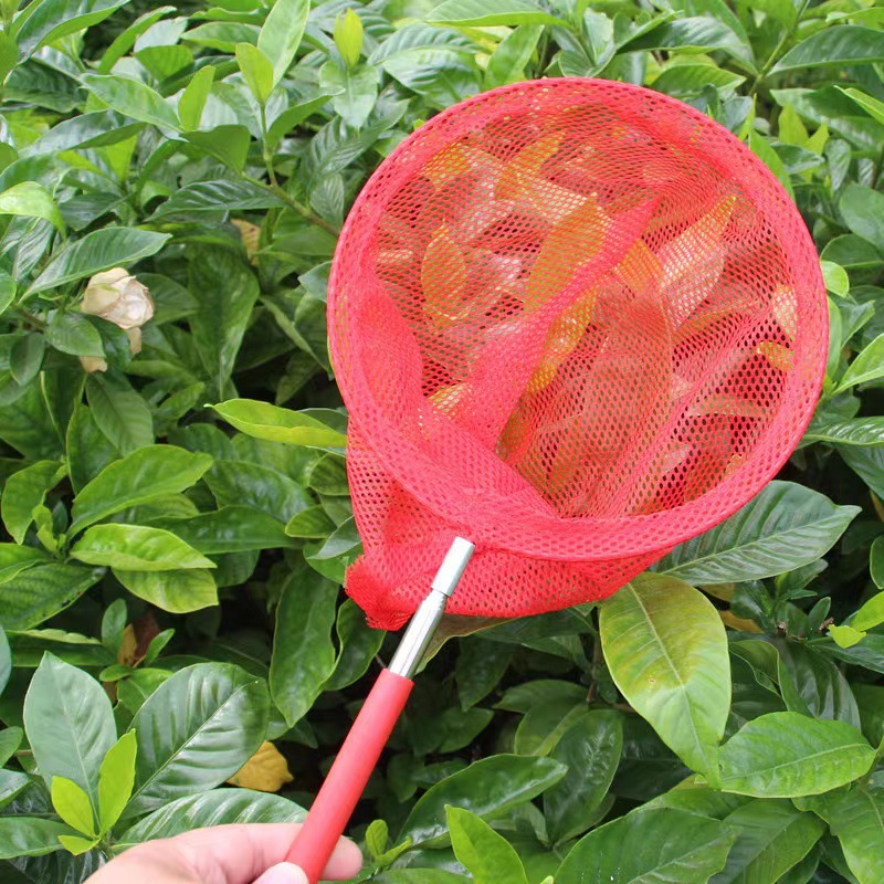 4bd67bddf1734897da69417ff1a1ca