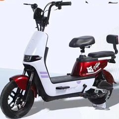 工厂直销新国标七彩马电动车外贸专用成人男女双人电动自行车