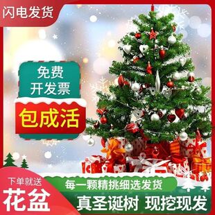 ����}�Q�����������Ų���ɼ�������Zؐ������ɘ��}�Q���Gֲ