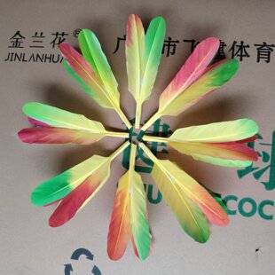 N6��ë ���ɻ����� �Vʽ�����Q��ë ����ë�g�Ժ� �ώ�������