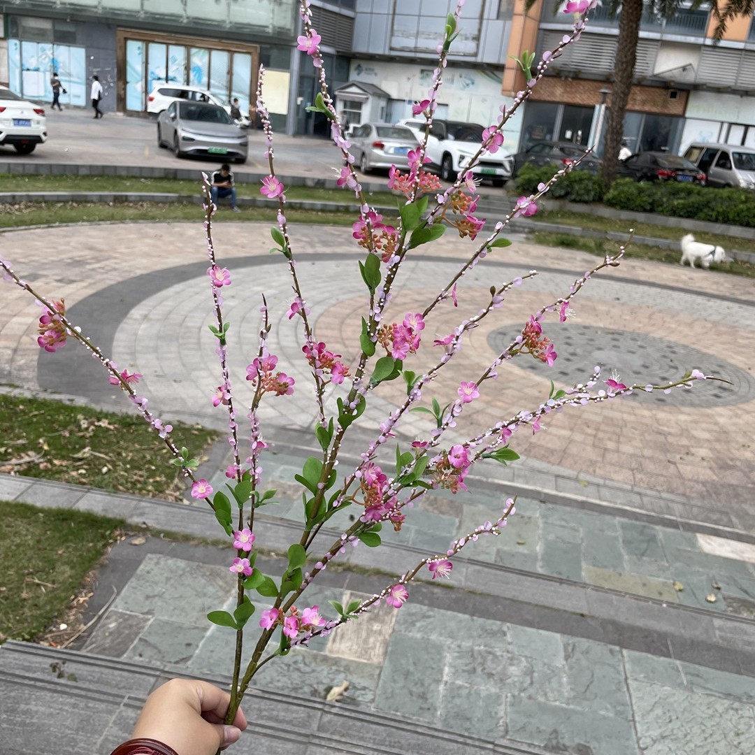 Sauce de Nieve Rosa Roja