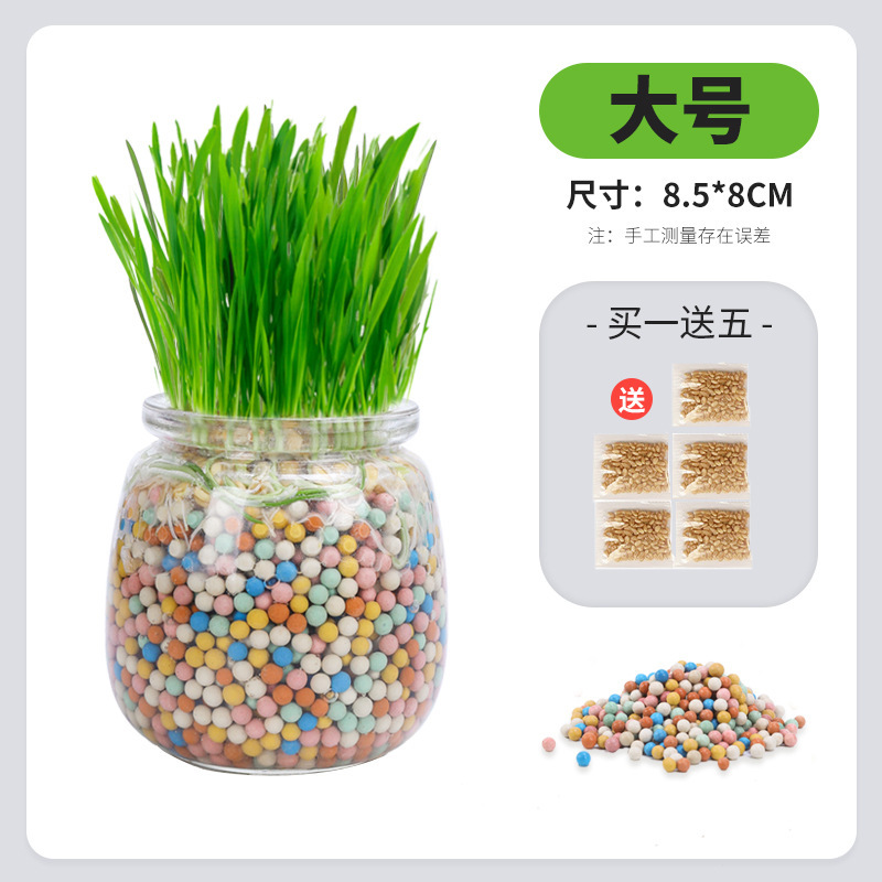 Nueva bola de pelo de hierba de gato de iones negativos Aperitivos para gatos Planta en maceta hidropónica sin suelo Semillas de trigo Mascotas Comida mixta húmeda al por mayor