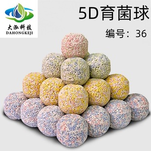 5D�����h���Ľǭh�^�V����ԭ�V�~����������������Ͱ�����V��