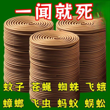 灭蚊王檀香蚊香家用驱蚊蚊蝇香清香型户外托盘持久