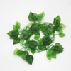 72 pieces of filmed watermelon leaves [please order in multiples of 12]