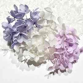 月白自制永生花绣球花a级花香槟杯敬酒杯diy材料