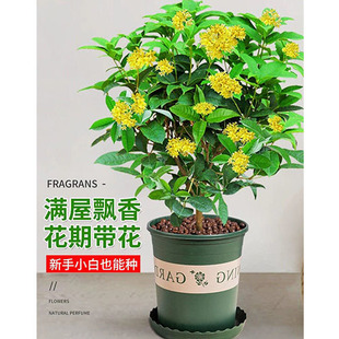 �𻨘������Կ�ʳ�ý���ļ��𲻔��҃����̨ͥԺ�����ͻ�������