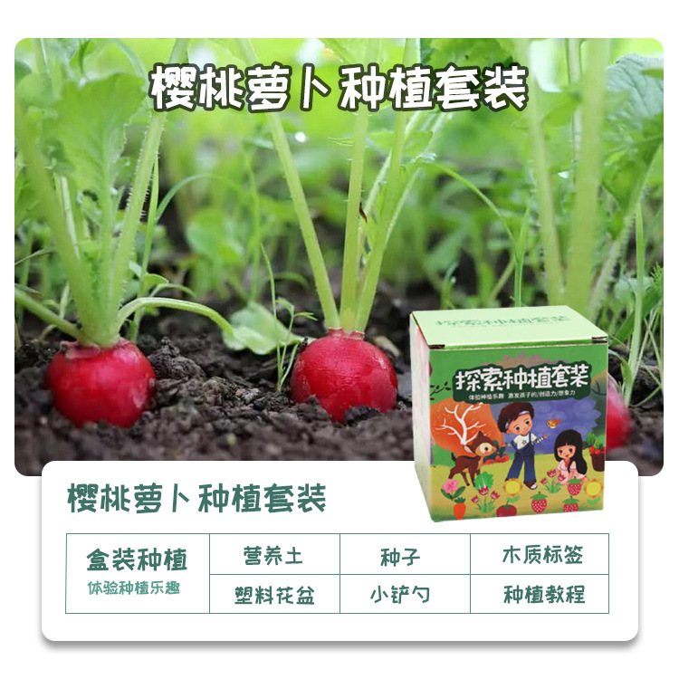 Explorar la plantación de plantas en maceta pequeñas para niños observación del crecimiento de plantas verdes pequeños experimentos creativos de los estudiantes pequeños agricultores de flores interesantes image 46