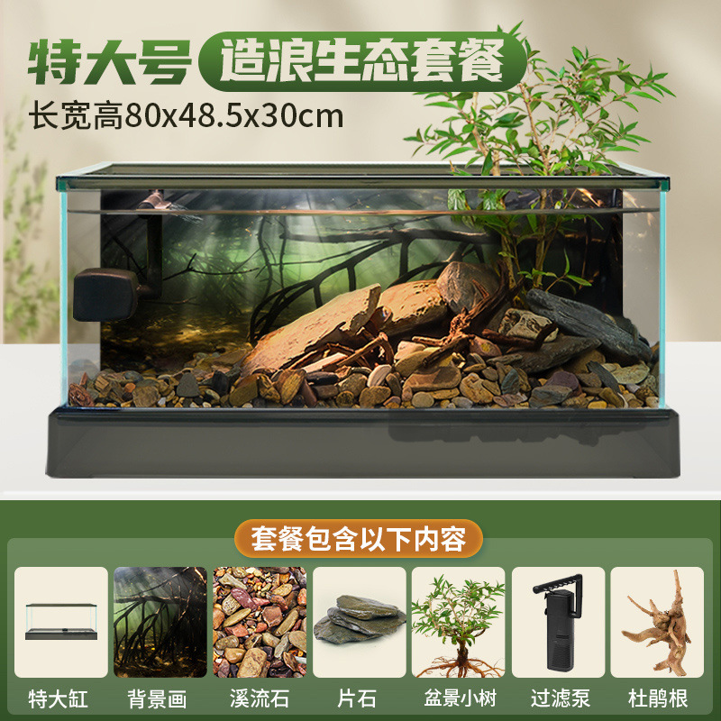 초대형 남미 탱크 [필터 조경 패키지] + 선물 패키지