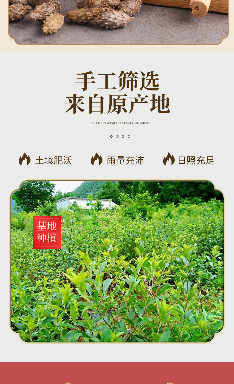 Cang Er Zi Powder (Xanthium sibiricum) — De-Spined Cocklebur Fruit Powder, 500g specifications