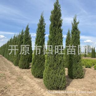 �|���|���u�� ���� �u���� ���� С��Ĺ�@ Ĺ���Lˮ����a��