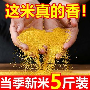 ���������ס��SС������s�Z�r��С��ŴС������M���l������