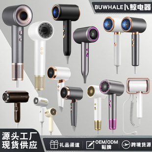 Cross-Border Hair Dryer for Home Dormitory Hot and Cold Air Internet Celebrity High-Power Hair Salon Negative Ion Hair Dryer Manufacturer Wholesale